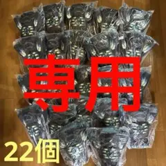 マイクラ ウォーデン