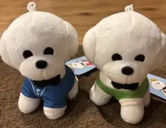 チャウヌ ドンドンイ ぬいぐるみ イドンドン　愛用　ASTRO 韓国 2026年最新】ドンドンイの人気アイテム - メルカリ