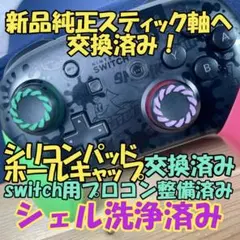 プロコン スプラ2カラー 任天堂 Switch 中古品 説明欄必読 35