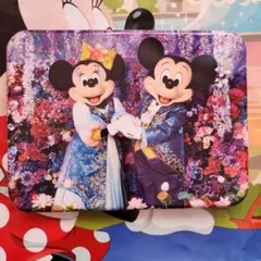新作 ディズニー イマジニングザマジック 蜷川実花 キャンディー