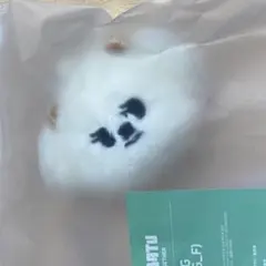 TXT ボムギュ　バムグッ　 フェイスキーリング　 ポップアップ