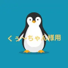 くぅ～ちゃん様専用です(^^)