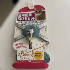 Item thumbnail for item d05ef66f-6da0-448f-9aa7-307b239ced3f