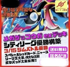 3/15優勝 メガゲッコウガ ex デッキ シティリーグ優勝構築デッキ