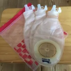 Item thumbnail for item 6986b4f4-ffb0-449b-b2bb-3f7a7b539665