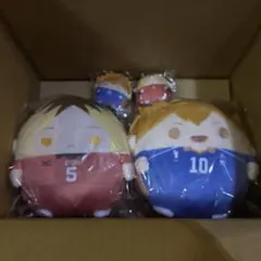 ハイキュー ぬいくじ くじメイトC賞ふわコロりんE賞 てのりんず 日向 研磨