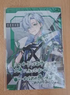 VOISINGチップス かなめ カード