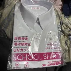 Item thumbnail for item 4e48bb65-1e3d-43d8-b810-58474483b991