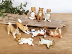 まったり柴犬セット 10匹まとめ売り