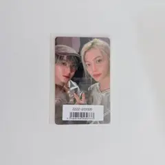 GIANT / チャンビン フィリックス / ユニット (85)