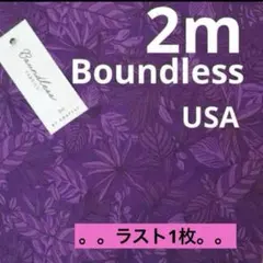 最終処分★USAコットン★boundless★パープル