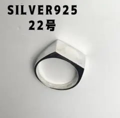 TAIGA OKUYAMA ホークスアイ シルバー925 リング 21号 中古 - メルカリ