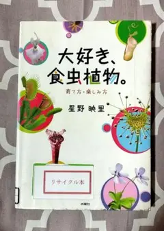 Item thumbnail for item 18920853-a6ae-4fbd-a764-10b2a65eba5c