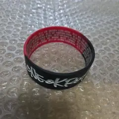 【ONE OK ROCK】ラバーバンド