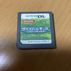 サバイバルキッズ ～LOST in BLUE 2～