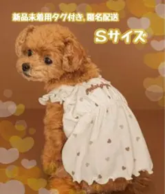 ジェラートピケ【CAT&DOG】ハート柄 フリルワンピース アイボリー S