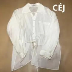 Item thumbnail for item 7ea350aa-f92f-41b0-8223-aa9e19fe33a6