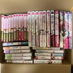 カボス様専用　TL小説33冊