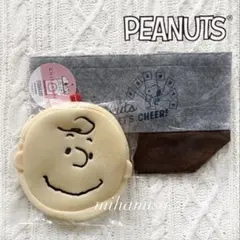 スヌーピー☆ チャーリーブラウン キャランドリン 洗濯ネットポーチ トートバッグ