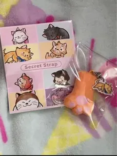 ディズニーストア シークレットストラップ 猫の日 トゥルーズ