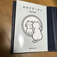 カモフラージュ　松井玲奈