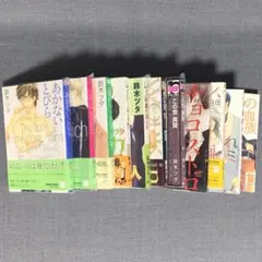 BLコミック まとめ売り 11冊 鈴木ツタ/井上佐藤/鬼嶋兵伍/彩景でりこ