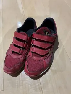 ミズノ トレーニングシューズ ミズノプロ グランツトレーナー 11GT1900