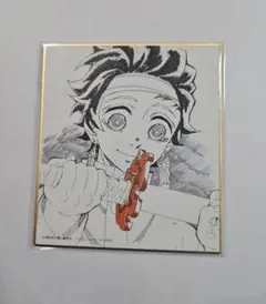 鬼滅の刃 竈門炭治郎