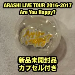 嵐 ライブ グッズ 2026 歴代ライブロゴマグネット カプセル付 - メルカリ
