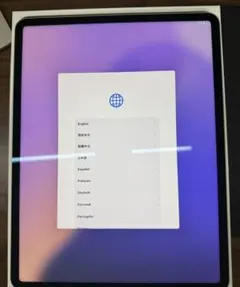 【美品】iPadPro 第6世代 12.9インチ Wifi 128GB シルバー