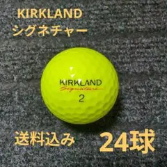 N*P様 KIRKLANDシグネチャー　イエローのサムネイル