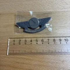 American Airlines FLIGHT CREW アメリカン航空