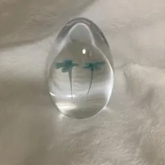 2026年最新】イイノナホの人気アイテム - メルカリ