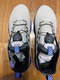 eccoゴルフシューズメンズ