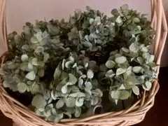 ※秋色紫陽花詰め合わせセット※のサムネイル