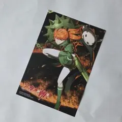 アカメが斬る!　特典　イラストカード　ポストカード　セリュー