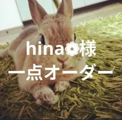 hina❁様 一点オーダー専用ページ