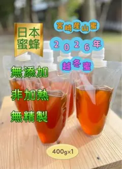 日本蜜蜂 純正ハチミツ 宮崎産 山蜜 400g×1のサムネイル