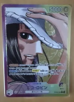 2025年最新】リーダーパラレル ロビンの人気アイテム - メルカリ