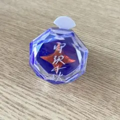 守沢千秋　リングライト