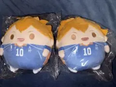 ハイキュー　ぬいくじ　C賞ふわコロりんM　日向翔陽