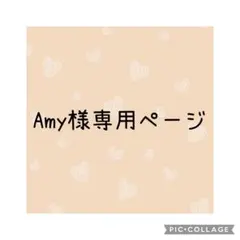 Amy様 リクエスト 3点 まとめ商品