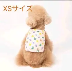 犬服 XSサイズ 夏服 ピンク　ウサギ柄 ドッグウェア　可愛い