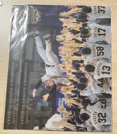 Item thumbnail for item 4dd5811b-57f1-4d92-92e6-c39778e03b3b