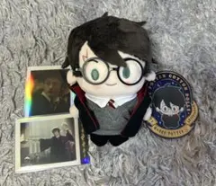 ハリーポッター popmart ぬいぐるみ ハリー・ポッター 魔法学校キャラクター開封動画 | TikTok