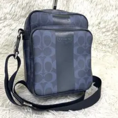 極美品‼️ COACH ショルダーバッグ　へリーデージ　シグネチャー　70589