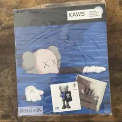 KAWS PHAIDON アートブック 折れあり - メルカリ
