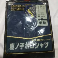 Item thumbnail for item b7e50b06-f01b-4ace-a618-76d0c677d274