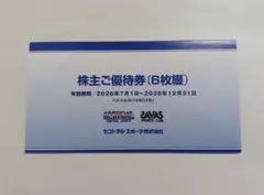 セントラルスポーツ 株主ご優待券 6枚綴のサムネイル