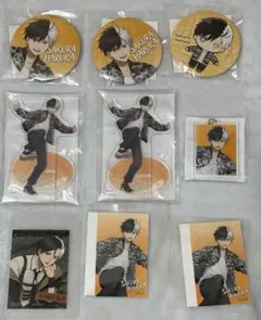 桜遥 ラッキーくじ カモフラージュ特典 アクスタ 缶バッジ